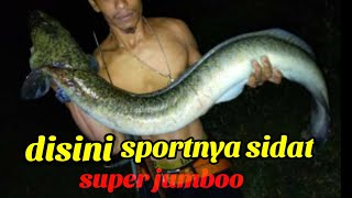 SIDAT SUPER JUMBO HANYA ADA DISINI