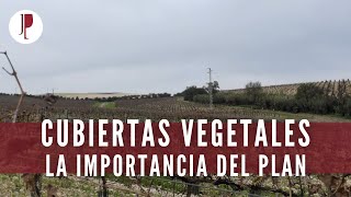 Cubiertas Vegetales. La importancia del plan