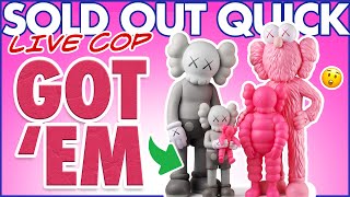 LIVE COP! KAWS FAMILY PINK GRAY at KAWSONE.COM (2022)