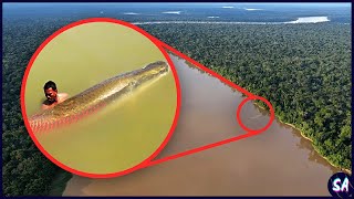 Los 10 Monstruos Más Mortíferos Del Río Amazonas