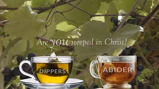 Are You a Dipper or an Abider? A Biblical Illustration of John 15