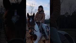 This song is such a vibe #equestrian #horse #horsebackriding #horseriding #horses