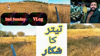 Teetar ka Shikar 2nd Sunday Season 2022_23 in Punjab pakistan Shotgun Partridges Hunting Video VLog