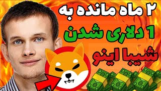 ویتالیک: شیبا اینو باید یک سنت شود