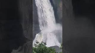 #naturelovers #beautyofnature #waterfall #athirappilly #shorts