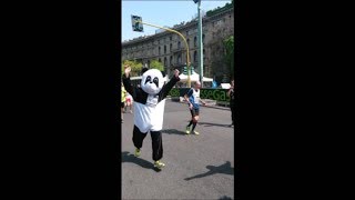 Un panda che corre la Milano City Marathon...Tutto