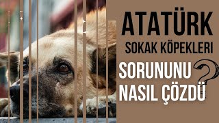 Atatürk Sokak Köpekleri Meselesini Nasıl Çözdü? Hayırsız Ada Sürgünü