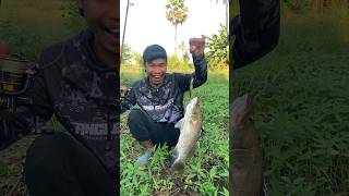 Tes lure Sotelo langsung amis. #fishing #barramundi #casting #funny #funnyfishing