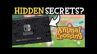 Animal Crossing New Horizons Special Edition Switch Analysis! Is Nintendo Hiding Something?