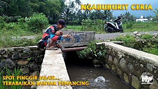 NGABUBURIT...Spot Pinggir Jalan Terabaikan | Ternyata Banyak Ikanya #microfishing #mancingnila