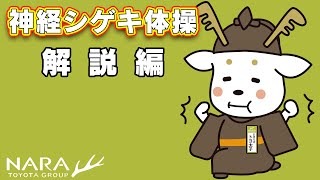 【トヨタ×奈良県警察】神経シゲキ体操 解説篇