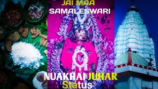 Happy Nuakhai Status || WhatsApp Nuakhai Status || Status video 2023 || @BKingEdit420 #new #nuakhai