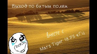 Поиск Minelab X-terra 705 с катушкой Mars Tiger 18.75 кГц