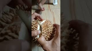 makan durian