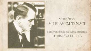 Vu plavem trnaci (solo piano)