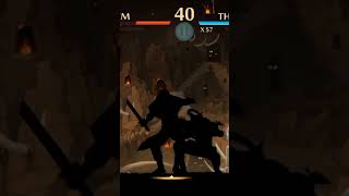 Shadow fight 2