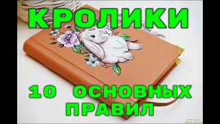 КРОЛИКИ, 10 ОСНОВНЫХ СЕКРЕТОВ!