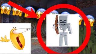 Skelton refernce in MINECRAFT!!!!!!!!!!!!! (WARNING: SCARY)