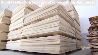 Wholesales prices birch plywood commercial plywood luxury qualitymade in Vietnam export to US Europe