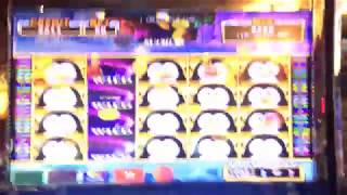 Aruze Gaming Slot Machine Ultra Stack Penguin great win bonus