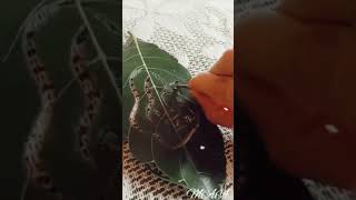 Amazing leaf cutting art # mother's love❤#leaf cutting art#shorts