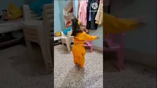 Mini Vlog. Happy Janmashtmi.