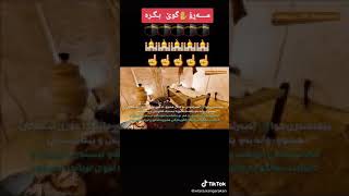 کەلوپالی ناو ماڵی پێغەمبەری خودا محمد (د-خ)لەسەربێت