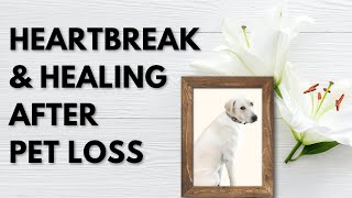 Moving through Grief and Loss when a Beloved Pet Dies (Becoming More Me - Episode 179)