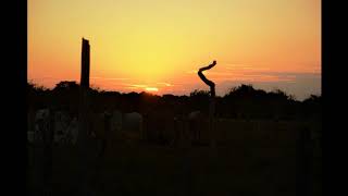 Tercer capítulo radionovela Atardecer Llanero - Trabajo de parteras en el campo