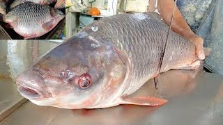 Amazing Fish Cutting Skills | Fresh Rohu Fish Cutting By Expert Fish Cutter |Fish Cutting By Machine