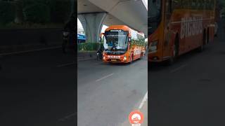 Bigbus Volvo 9600s B8r 🚍 #shorts #ytshorts #youtubeshorts #tamil  #fyp #beautiful  #foryou #kerala