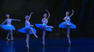 Swan Lake Act II (part 2) - January 22-25 2020