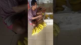 CERAHH! KUNING BENTUK SABIT DI POTONG HARGA PISANG RP 170 RIBU PER DUS DI BALARAJA TANGERANG!!