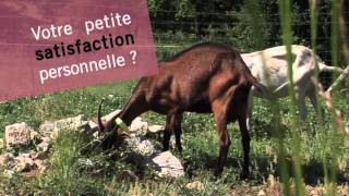 AGRIBIO06 - Marie-Noelle ROUSSEZ - Eleveuse de chèvres et centre ESAT à ASCROC (06)