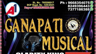 Ganapati  Musical, Jajpur // Janhare Tate Punei Rana saxophone 🎷 #bhasani  @odiamusical_dj