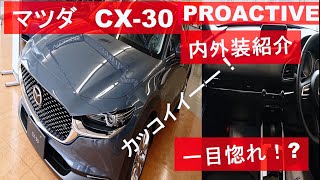 【内外装紹介】MAZDA CX-30(2.0Proactive)見てきたよ！ 外装、内装に一目惚れ✨！？ 売れて納得だね！