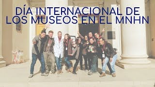 Día Internacional de los Museos 2019 en el MNHN