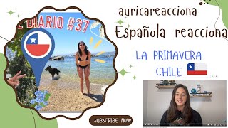 ESPAÑOLA REACCIÓN:  ¡Primavera en Chile! 🌺AgnescitaenChile ¿Cómo es la vida en Santiago?