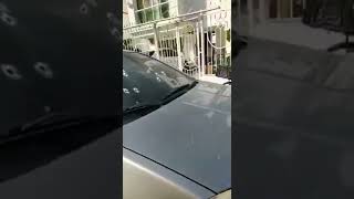 Inseguridad en Villa Carolina, Barranquilla