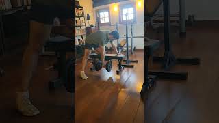 Dumbbell Rows form check