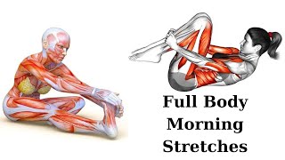 Soulful Stretch: Full Body Stretches for a New Beginning | Flexibility workout at Home in Winter