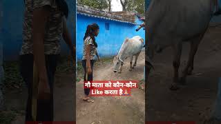 गौ माता #viral #youtubeshorts #viralvideo