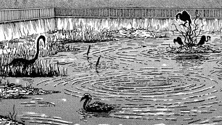 "Junji Ito's Pond" Animated Horror Manga Story Dub and Narration