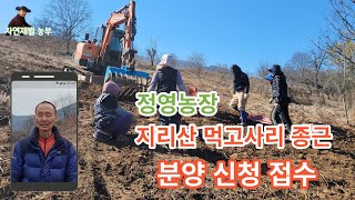 정영농장 지리산 먹고사리 종근분양 마감 임박