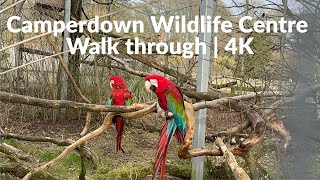 Camperdown Wildlife Centre, Dundee | 4K