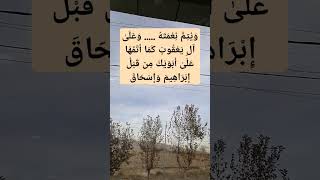 ١٢ ديسمبر، ٢٠٢٤