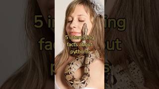 5 Interesting Facts About Pythons #shorts #snakes