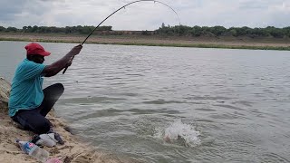 River Fishing 🎣 Video Fisher Man Catching mutta jalla and Big Tilapia Fishes to Catching