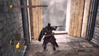 DARK SOULS II: Old Dragonslayer Boss Fight (NG+)