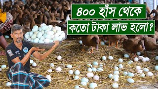 ৪০০ হাঁস থেকে প্রতি মাসে কতো টাকা লাভ হচ্ছে ?   How to duck farming